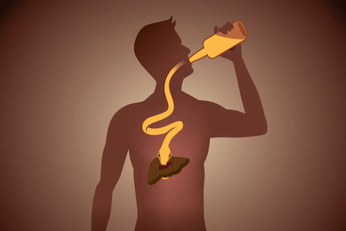 alcohol consumption causing liver damage and liver disease